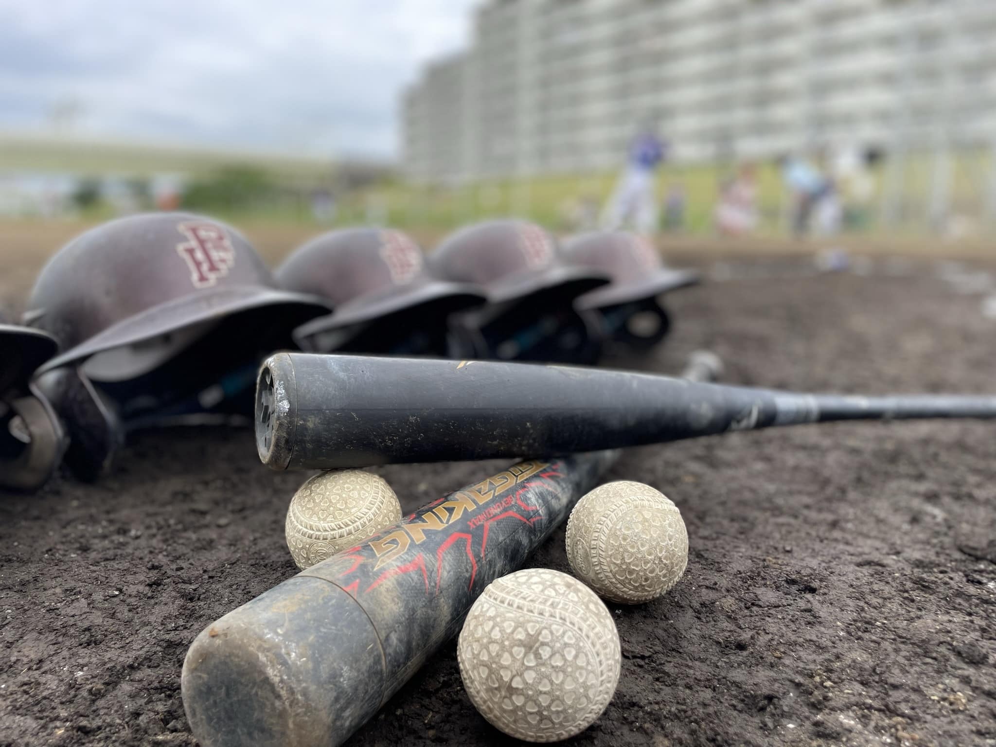 ダイシンは遊びも全力です！